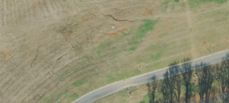 851 Shady Bluff Trl
