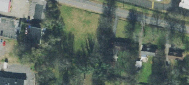 Palestine Ave