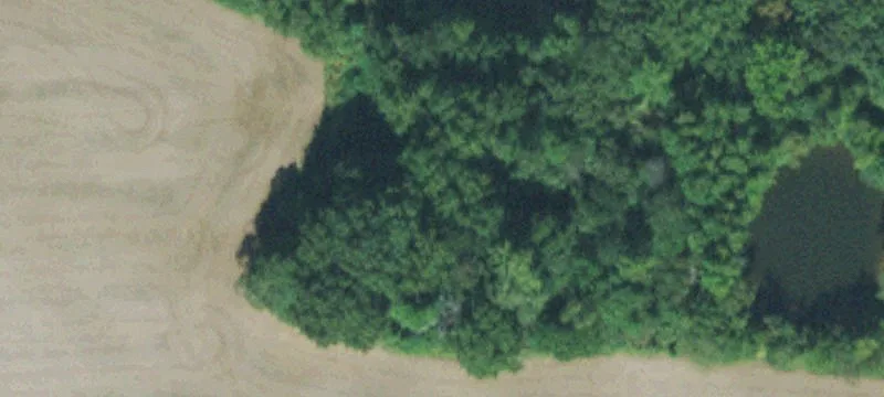 120 Old Jackson Rd