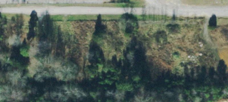 State Hwy 96