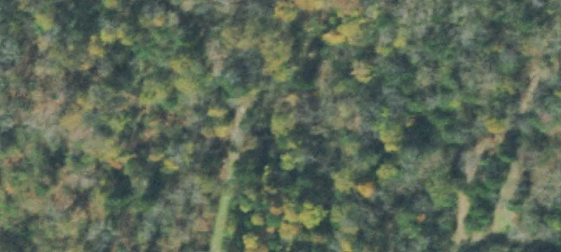395 Gordonsville Hwy