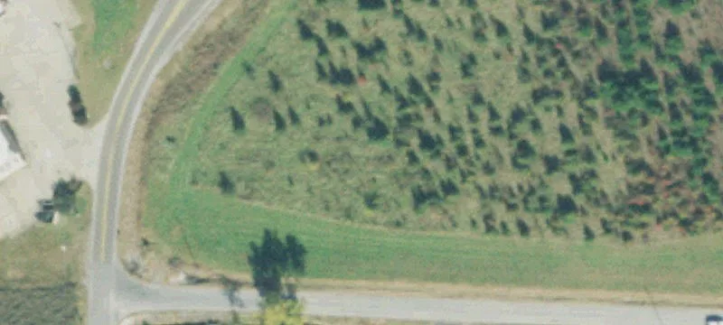Graves Loop Rd