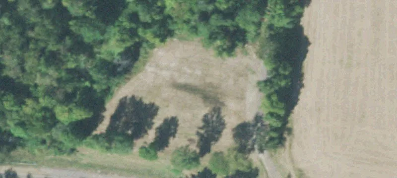 1450 Elbridge Obion Rd