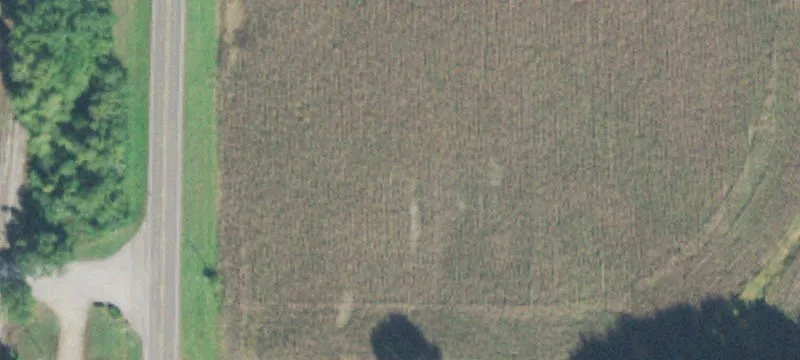 11060 Hwy 641st N