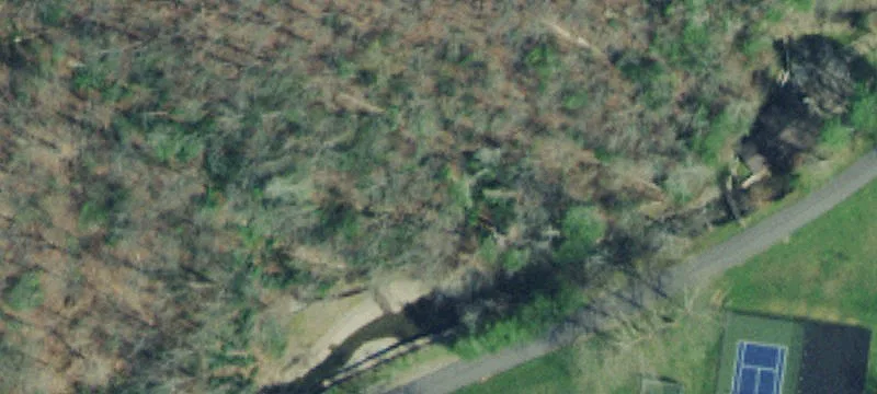 475 Norton Crk Rd