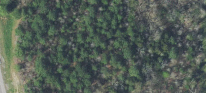 Hwy 305-1848