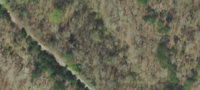 Wolf Vly Rd