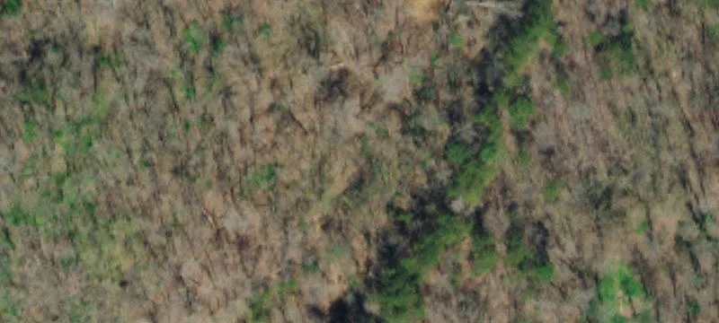 Buffalo Rd