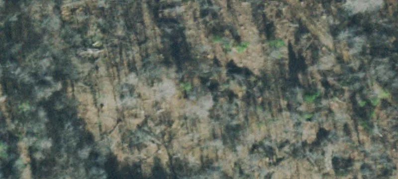 7638 Hwy 13