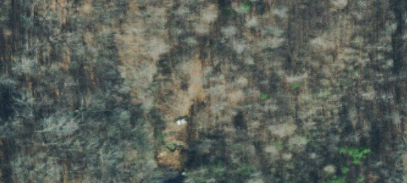 4193 Hwy 96