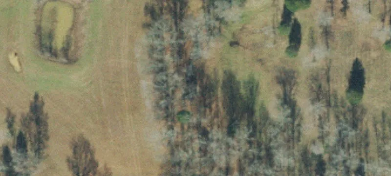 1960 Joe Brown Rd