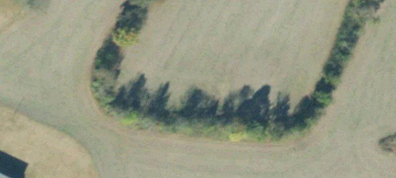 1580 Hwy 14th N