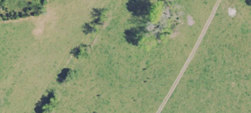 Jolly Rd, TN