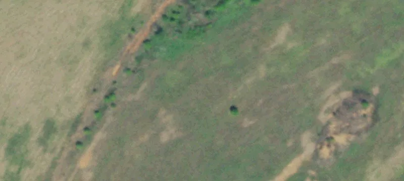 1009 Proffitt Spgs Rd
