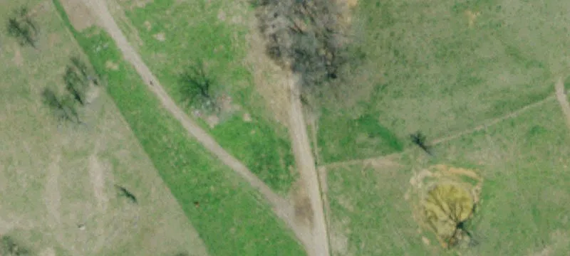 1238 Hwy 75