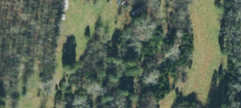 2504 Double Branch Rd