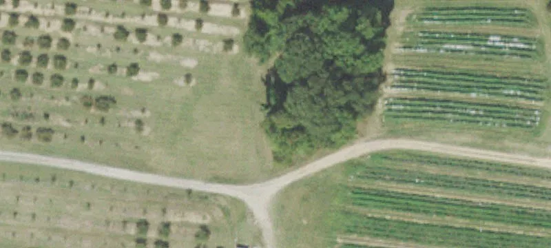 7170 Us Hwy 51st N