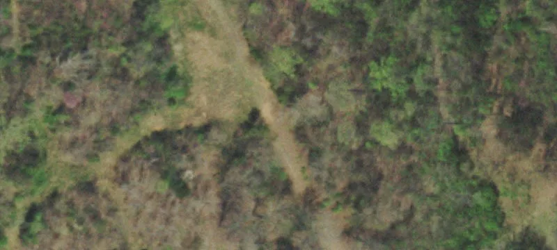 8703 Joe Daniels Rd