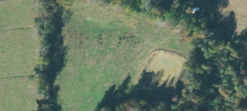 890 Elzie Pounds Rd