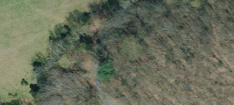228 Sluder Rd