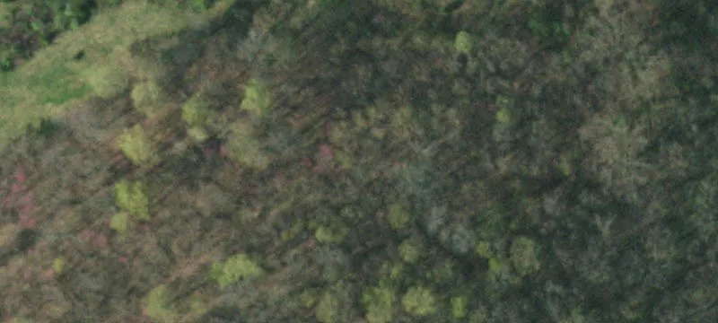 106 Lena Dr