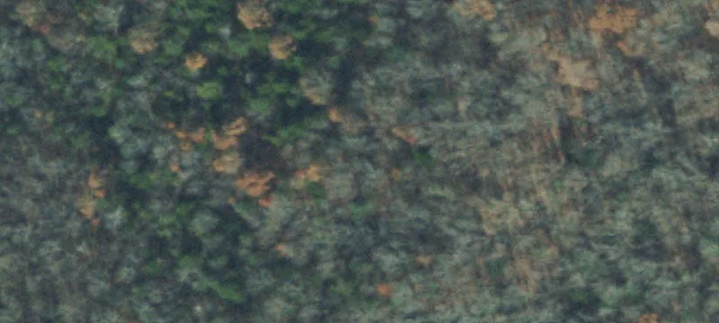 2409 Rock Spgs Rd