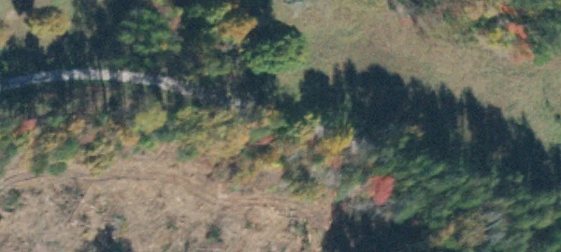 711 Lick Point Rd