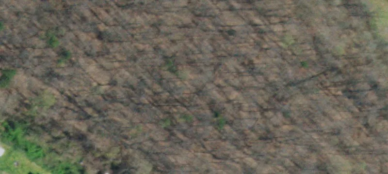 199 Goins Cemetery Ln