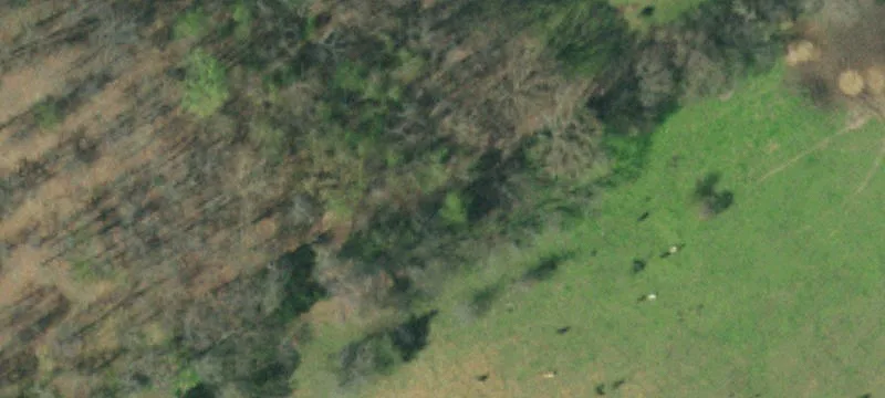 1900 Pigeon Creek Rd