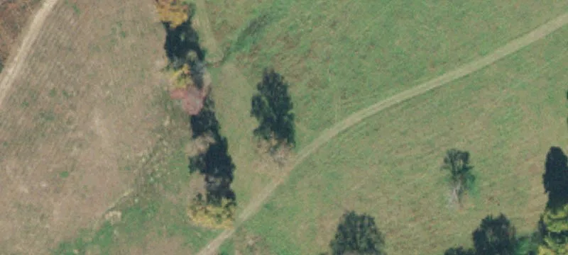 Sanders Spur