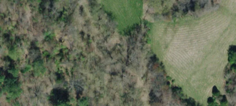 905 Holliston Mls Rd