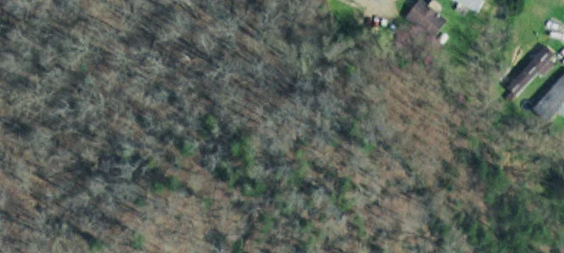 699 Hardin Ln