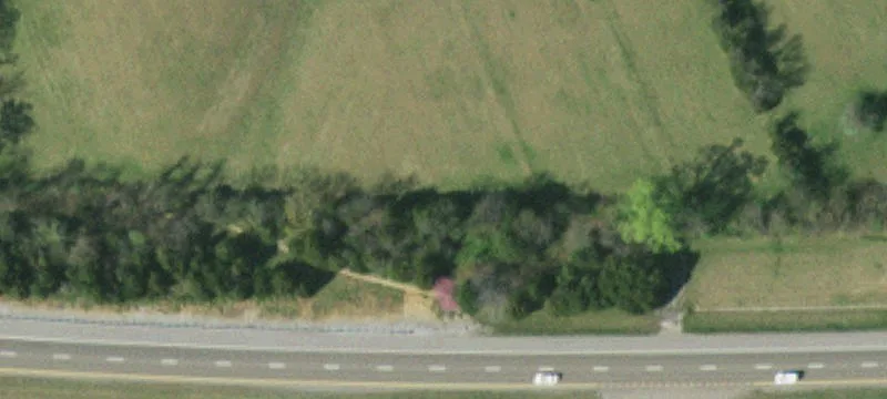 1036 Doolittle Rd