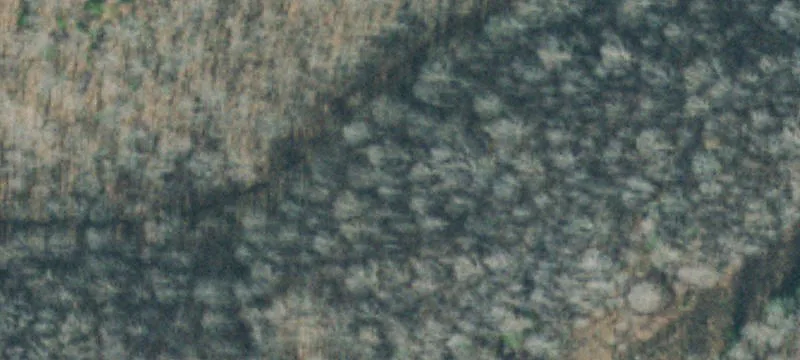 383 Mccord Hollow Rd