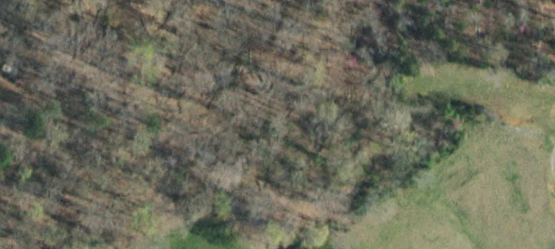 6312 Turners Pond Trl