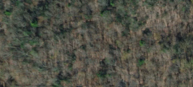 364 Grassy Crk Rd