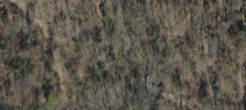 280 Mckee Ln