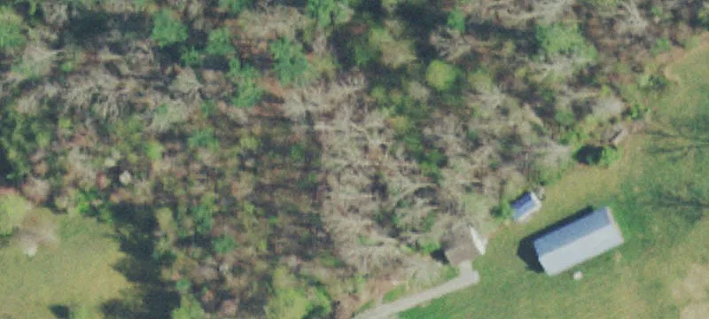 55 Bob Tollett Loop