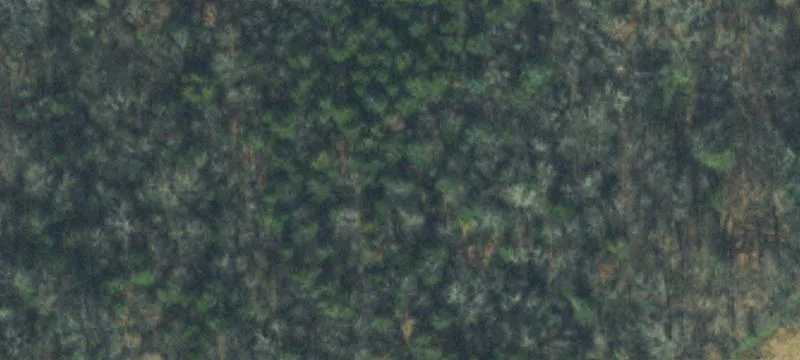 9920 Paw Paw Spgs Rd