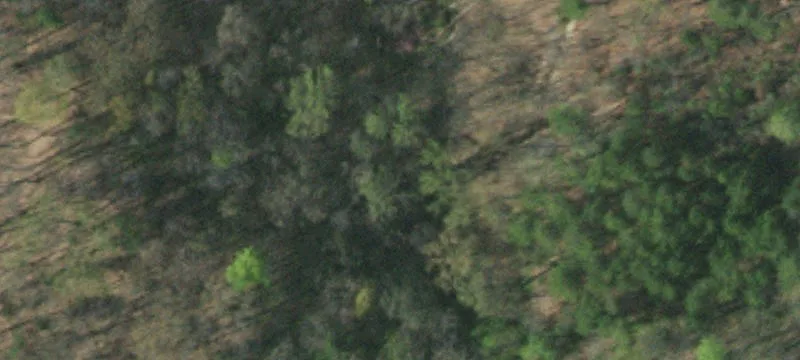 7500 Hwy 11w