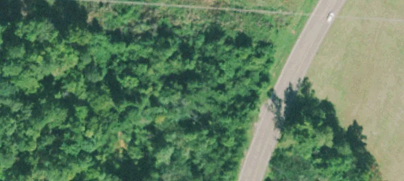 10019 Dayton Pike