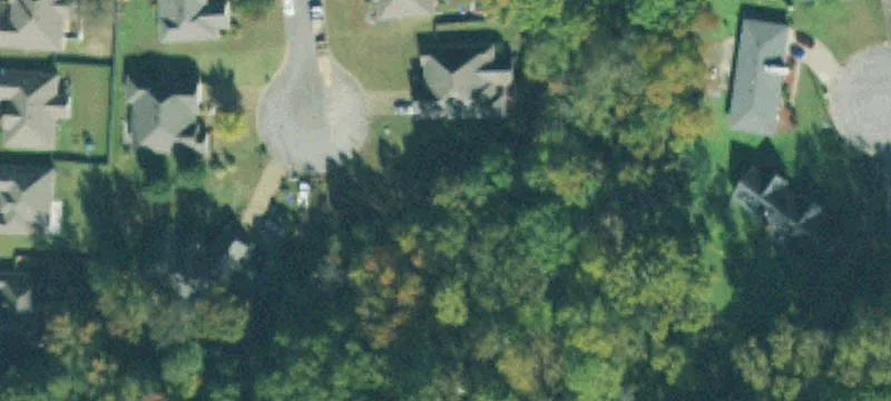 99 Elmwood Cv