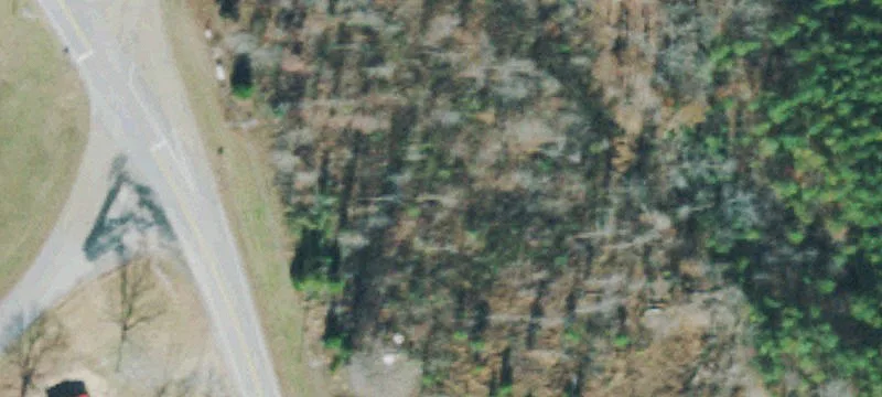 315 Hwy 232