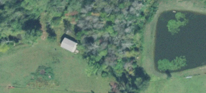 125 Red Williams Rd