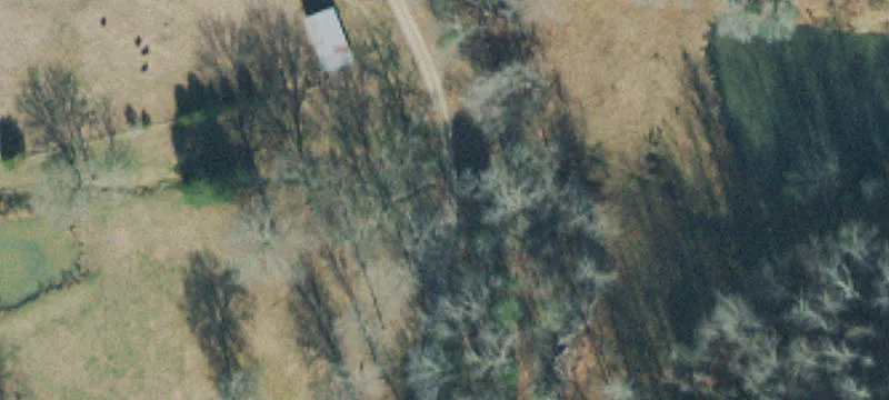 38 Stevens Holw Rd