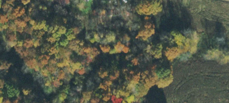 340 Young Cemetery Ln