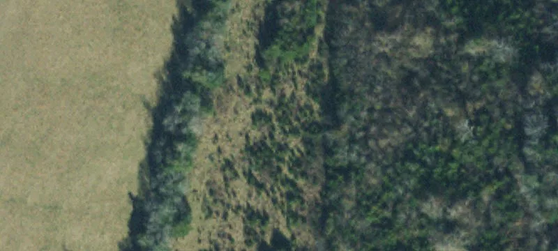 1891 Fosterville Short Crk Rd