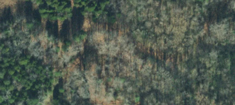 1449 Rock Spgs Rd