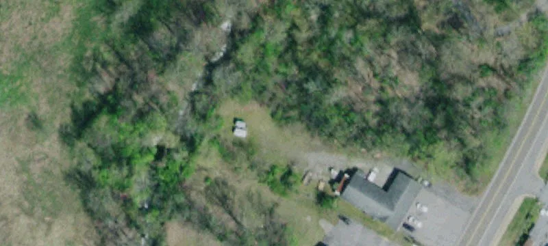 313 Springbrook Dr