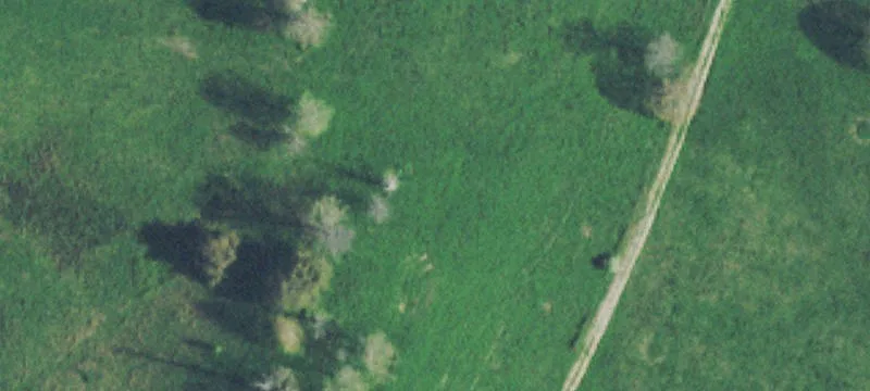 455 Muddy Branch Rd